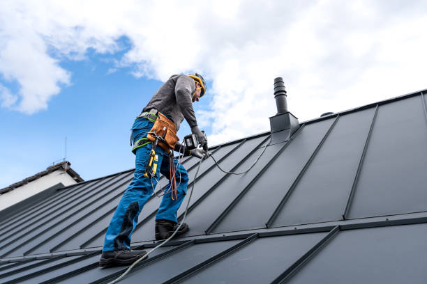 Best Asphalt Shingle Roofing  in Wayne, MI