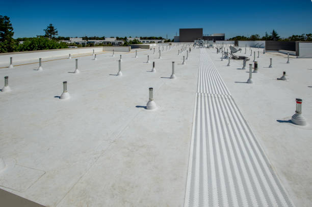 Best Commercial Roofing Services  in Wayne, MI
